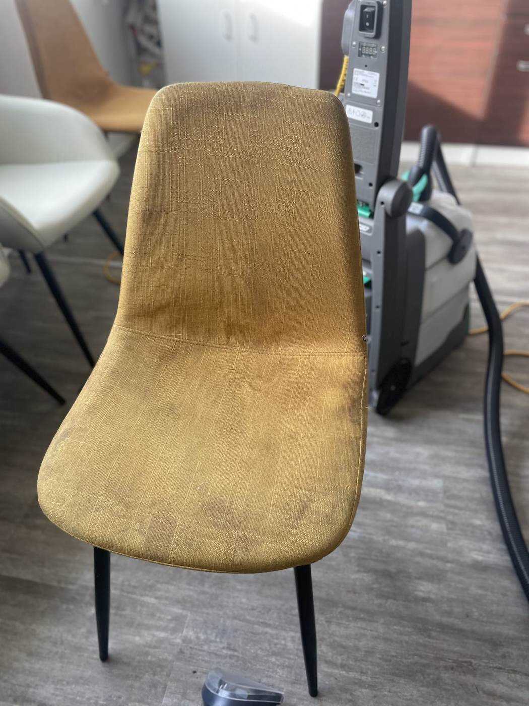 Chaises tissu moutarde avant nettoyage